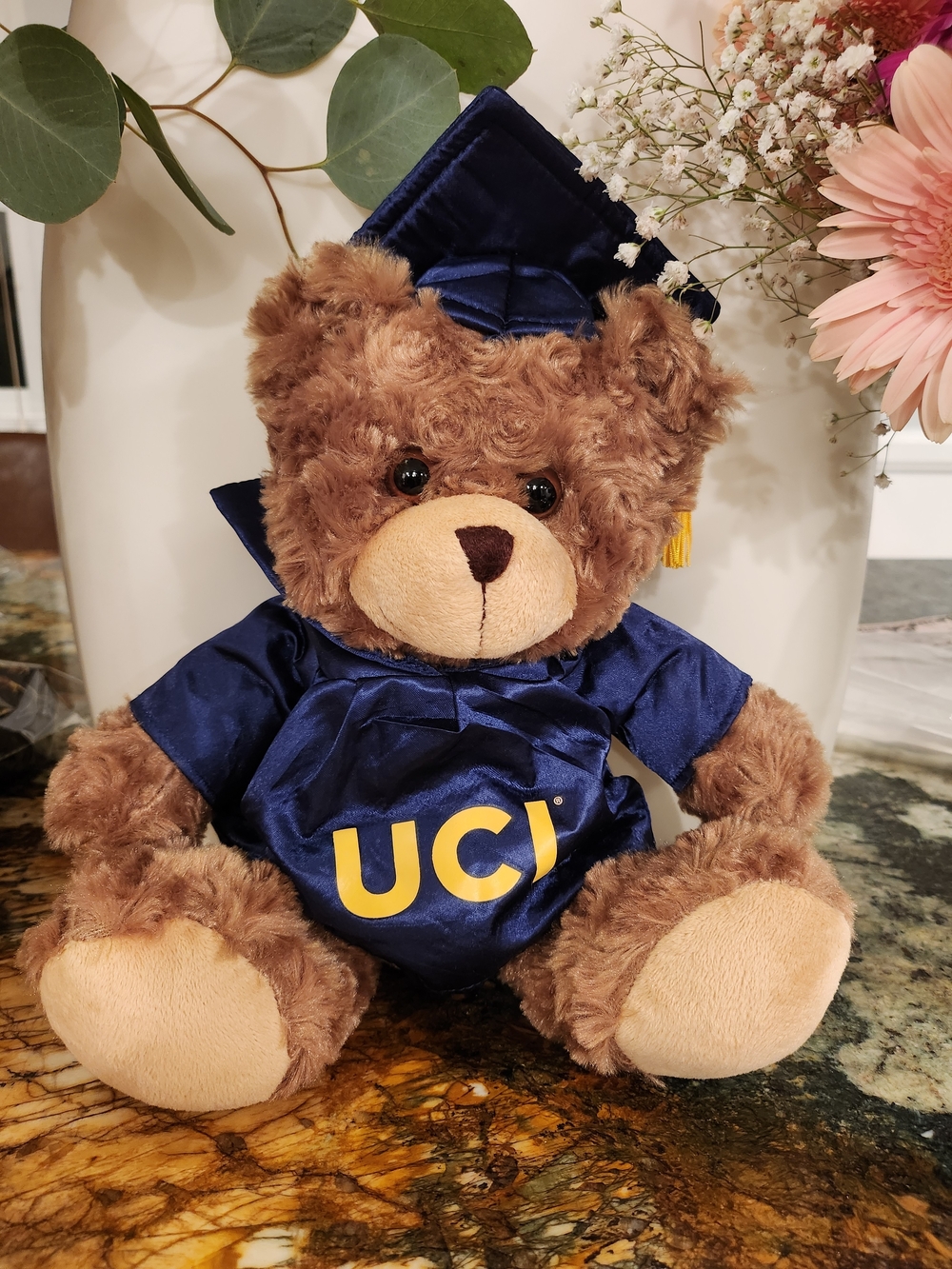 UCI Navy Blue Graduation Teddy Bear Plush